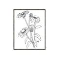 Picture of Daisy Drawing _GroupedProduct_Rectangle_Portrait_Canvas_Framed_