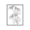 Picture of Daisy Drawing _GroupedProduct_Rectangle_Portrait_Canvas_Framed_