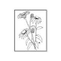 Picture of Daisy Drawing _GroupedProduct_Rectangle_Portrait_Canvas_Framed_