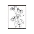 Picture of Daisy Drawing _GroupedProduct_Rectangle_Portrait_Canvas_Framed_