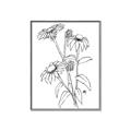 Picture of Daisy Drawing _GroupedProduct_Rectangle_Portrait_Canvas_Framed_