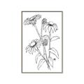 Picture of Daisy Drawing _GroupedProduct_Rectangle_Portrait_Canvas_Framed_