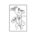 Picture of Daisy Drawing _GroupedProduct_Rectangle_Portrait_Canvas_Framed_
