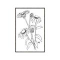 Picture of Daisy Drawing _GroupedProduct_Rectangle_Portrait_Canvas_Framed_