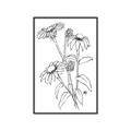 Picture of Daisy Drawing _GroupedProduct_Rectangle_Portrait_Canvas_Framed_