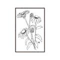 Picture of Daisy Drawing _GroupedProduct_Rectangle_Portrait_Canvas_Framed_