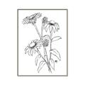 Picture of Daisy Drawing _GroupedProduct_Rectangle_Portrait_Canvas_Framed_