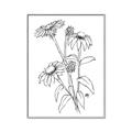 Picture of Daisy Drawing _GroupedProduct_Rectangle_Portrait_Canvas_Framed_