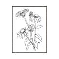 Picture of Daisy Drawing _GroupedProduct_Rectangle_Portrait_Canvas_Framed_