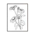 Picture of Daisy Drawing _GroupedProduct_Rectangle_Portrait_Canvas_Framed_