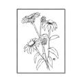 Picture of Daisy Drawing _GroupedProduct_Rectangle_Portrait_Canvas_Framed_