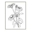 Picture of Daisy Drawing _GroupedProduct_Rectangle_Portrait_Canvas_Framed_