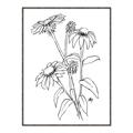 Picture of Daisy Drawing _GroupedProduct_Rectangle_Portrait_Canvas_Framed_