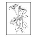 Picture of Daisy Drawing _GroupedProduct_Rectangle_Portrait_Canvas_Framed_