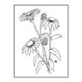 Picture of Daisy Drawing _GroupedProduct_Rectangle_Portrait_Canvas_Framed_