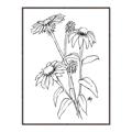 Picture of Daisy Drawing _GroupedProduct_Rectangle_Portrait_Canvas_Framed_