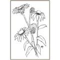 Picture of Daisy Drawing _GroupedProduct_Rectangle_Portrait_Canvas_Framed_