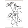 Picture of Daisy Drawing _GroupedProduct_Rectangle_Portrait_Canvas_Framed_
