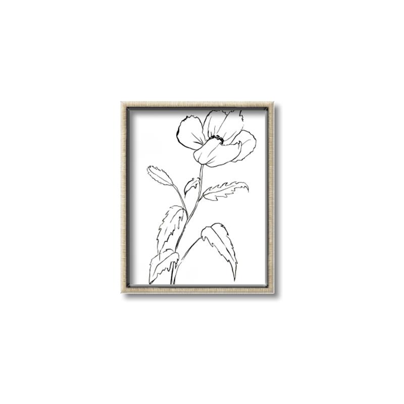 Picture of Poppy Drawing _GroupedProduct_Rectangle_Portrait_Canvas_Framed_