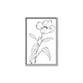 Picture of Poppy Drawing _GroupedProduct_Rectangle_Portrait_Canvas_Framed_