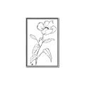 Picture of Poppy Drawing _GroupedProduct_Rectangle_Portrait_Canvas_Framed_