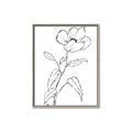 Picture of Poppy Drawing _GroupedProduct_Rectangle_Portrait_Canvas_Framed_