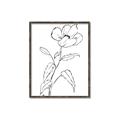Picture of Poppy Drawing _GroupedProduct_Rectangle_Portrait_Canvas_Framed_
