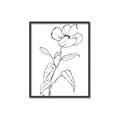 Picture of Poppy Drawing _GroupedProduct_Rectangle_Portrait_Canvas_Framed_
