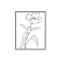 Picture of Poppy Drawing _GroupedProduct_Rectangle_Portrait_Canvas_Framed_