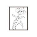 Picture of Poppy Drawing _GroupedProduct_Rectangle_Portrait_Canvas_Framed_