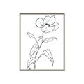 Picture of Poppy Drawing _GroupedProduct_Rectangle_Portrait_Canvas_Framed_