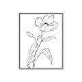 Picture of Poppy Drawing _GroupedProduct_Rectangle_Portrait_Canvas_Framed_