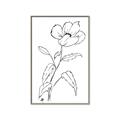 Picture of Poppy Drawing _GroupedProduct_Rectangle_Portrait_Canvas_Framed_
