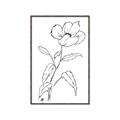 Picture of Poppy Drawing _GroupedProduct_Rectangle_Portrait_Canvas_Framed_