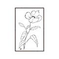 Picture of Poppy Drawing _GroupedProduct_Rectangle_Portrait_Canvas_Framed_