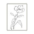 Picture of Poppy Drawing _GroupedProduct_Rectangle_Portrait_Canvas_Framed_