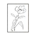Picture of Poppy Drawing _GroupedProduct_Rectangle_Portrait_Canvas_Framed_