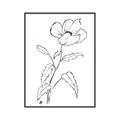 Picture of Poppy Drawing _GroupedProduct_Rectangle_Portrait_Canvas_Framed_