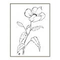 Picture of Poppy Drawing _GroupedProduct_Rectangle_Portrait_Canvas_Framed_