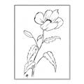 Picture of Poppy Drawing _GroupedProduct_Rectangle_Portrait_Canvas_Framed_