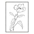 Picture of Poppy Drawing _GroupedProduct_Rectangle_Portrait_Canvas_Framed_