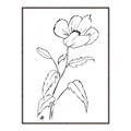 Picture of Poppy Drawing _GroupedProduct_Rectangle_Portrait_Canvas_Framed_