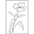 Picture of Poppy Drawing _GroupedProduct_Rectangle_Portrait_Canvas_Framed_