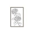 Picture of French Hydrangea Drawing _GroupedProduct_Rectangle_Portrait_Canvas_Framed_