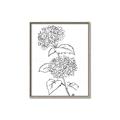 Picture of French Hydrangea Drawing _GroupedProduct_Rectangle_Portrait_Canvas_Framed_