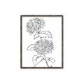 Picture of French Hydrangea Drawing _GroupedProduct_Rectangle_Portrait_Canvas_Framed_