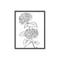 Picture of French Hydrangea Drawing _GroupedProduct_Rectangle_Portrait_Canvas_Framed_