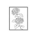 Picture of French Hydrangea Drawing _GroupedProduct_Rectangle_Portrait_Canvas_Framed_