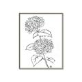 Picture of French Hydrangea Drawing _GroupedProduct_Rectangle_Portrait_Canvas_Framed_