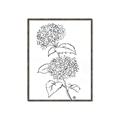 Picture of French Hydrangea Drawing _GroupedProduct_Rectangle_Portrait_Canvas_Framed_